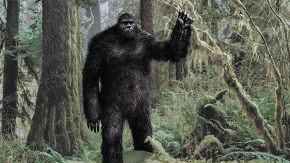 275052-cryptozoology-bigfoot-wallpaper.jpg