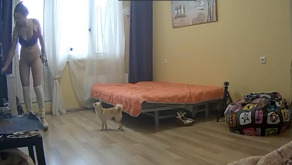 Dwm 2017-02-22 11-01-45-31.jpg