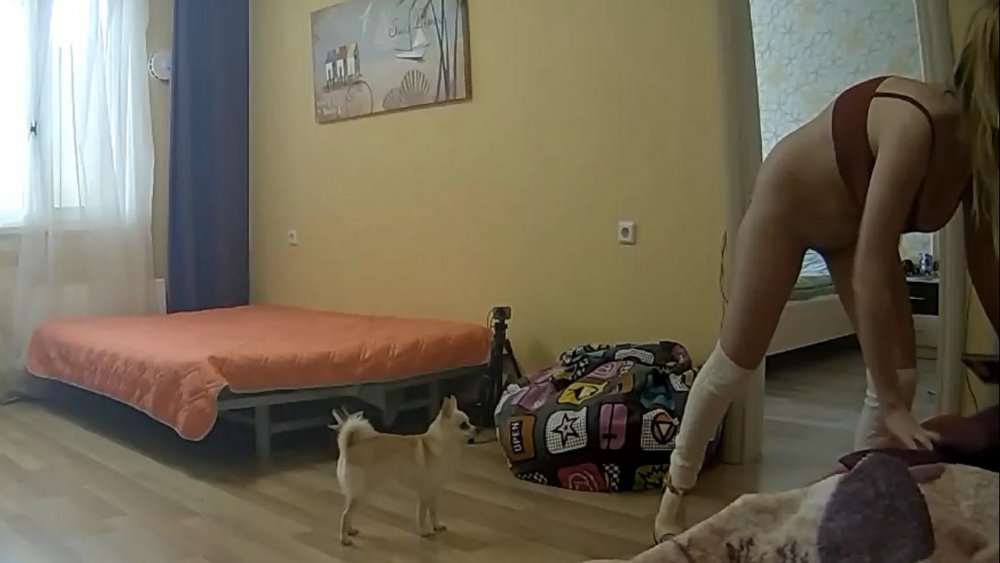 Dwm 2017-02-22 11-02-11-83.jpg