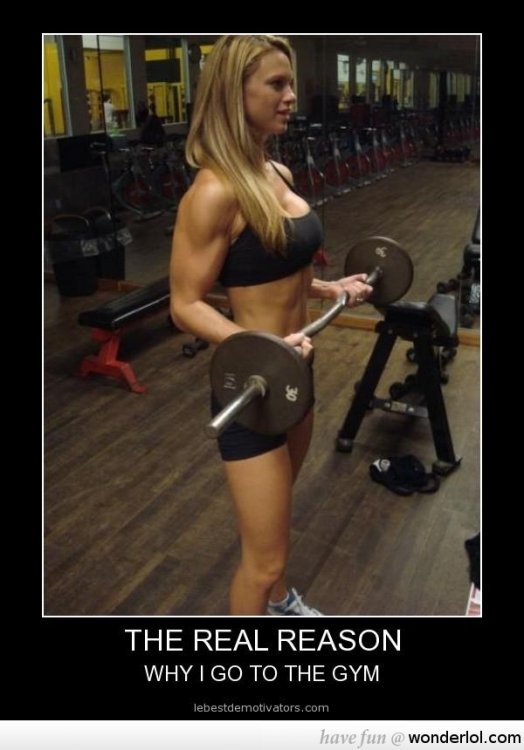 Girl-meme-The-real-reason-why-i-go-the-gym.jpg