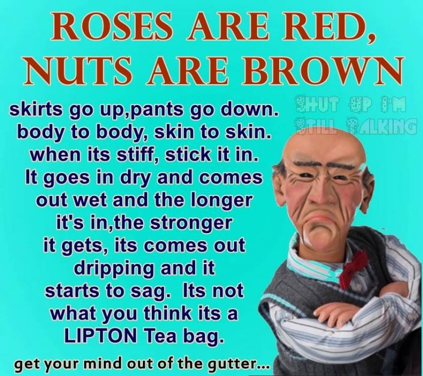 tea bag.jpg