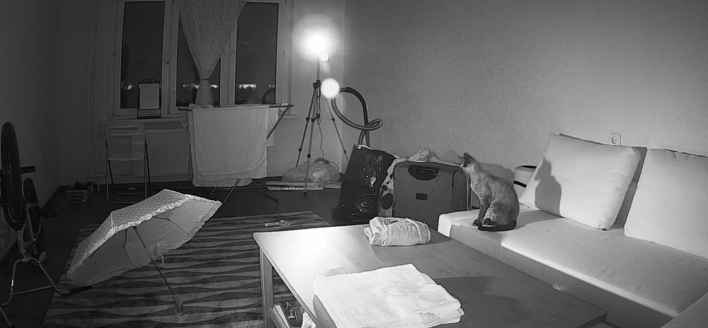 Dwm 2017-05-31 23-52-01-64.jpg