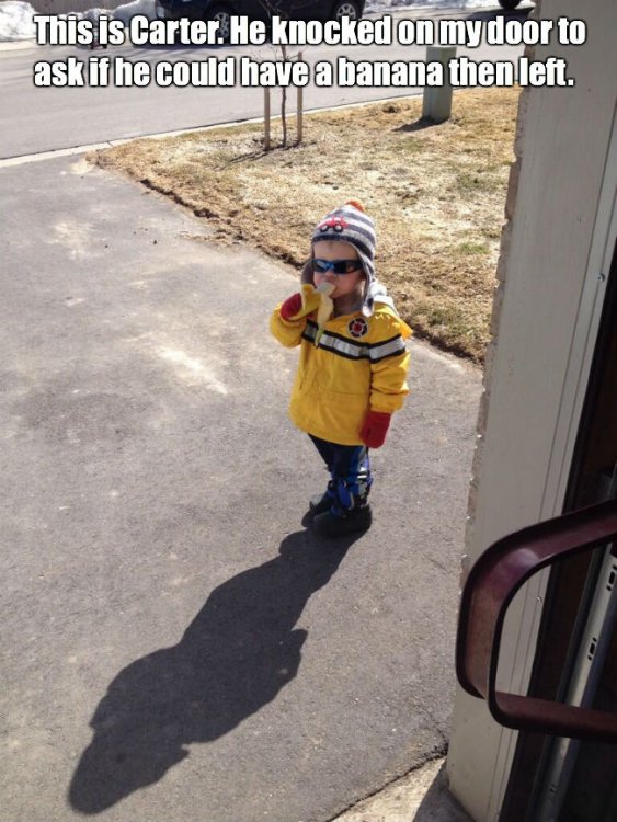 carter-boy-eating-banana-meme.jpg