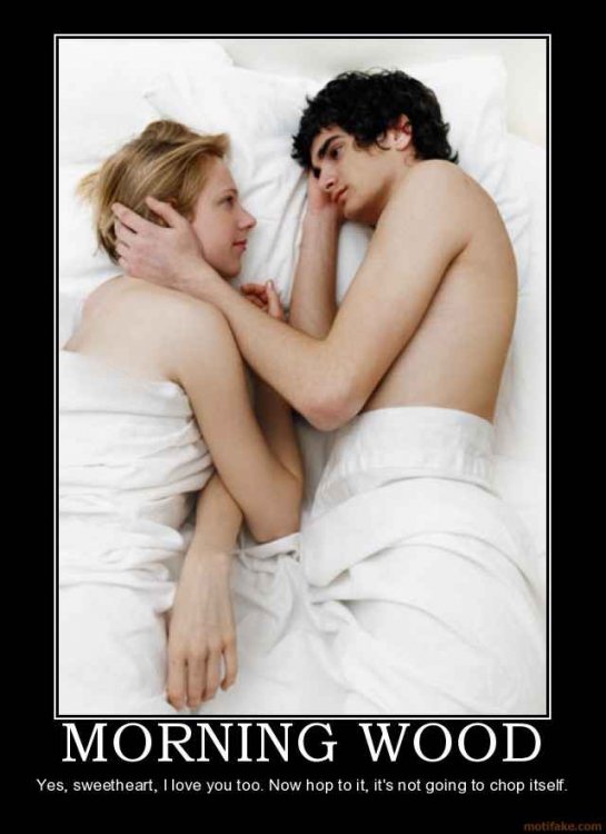 morning-wood-morning-wood-demotivational-poster-1272486005.jpg