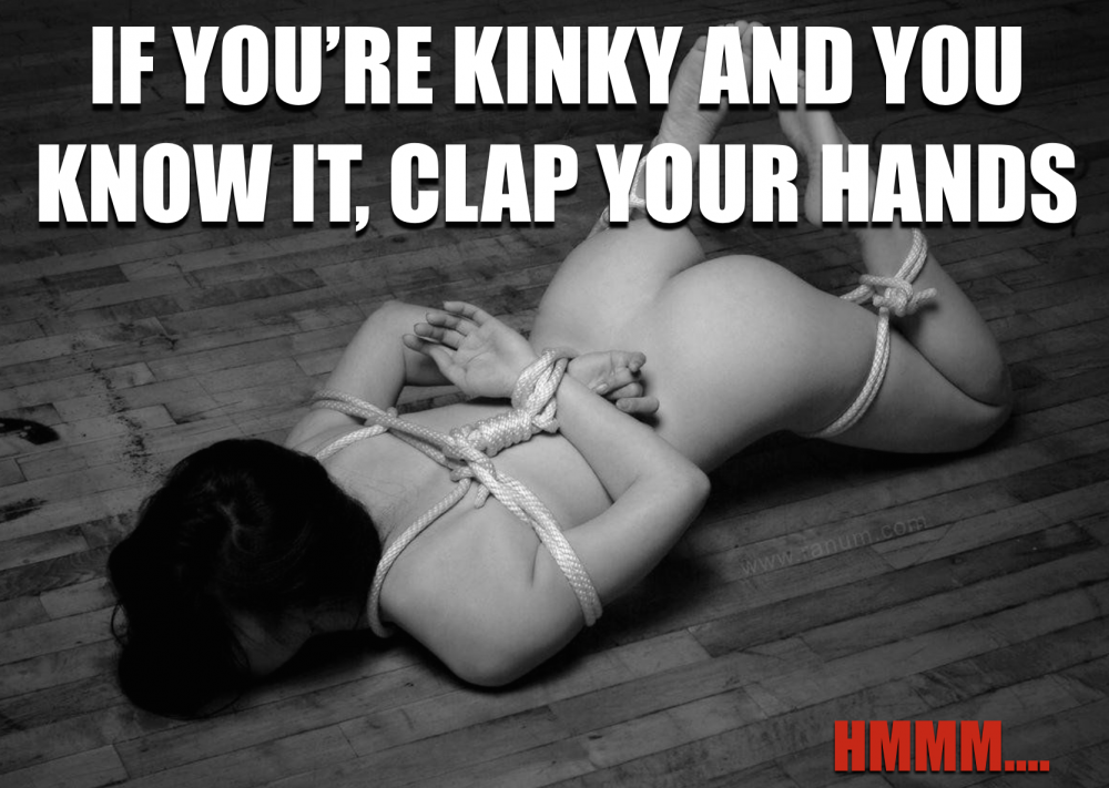 bdsm-meme-kinky-sex-meme-kinky-and-you-know-it.png