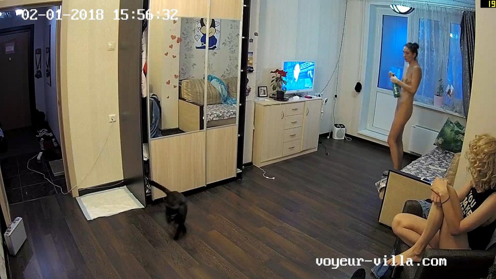 Dwm 2018-01-02 12-55-44-61.jpg