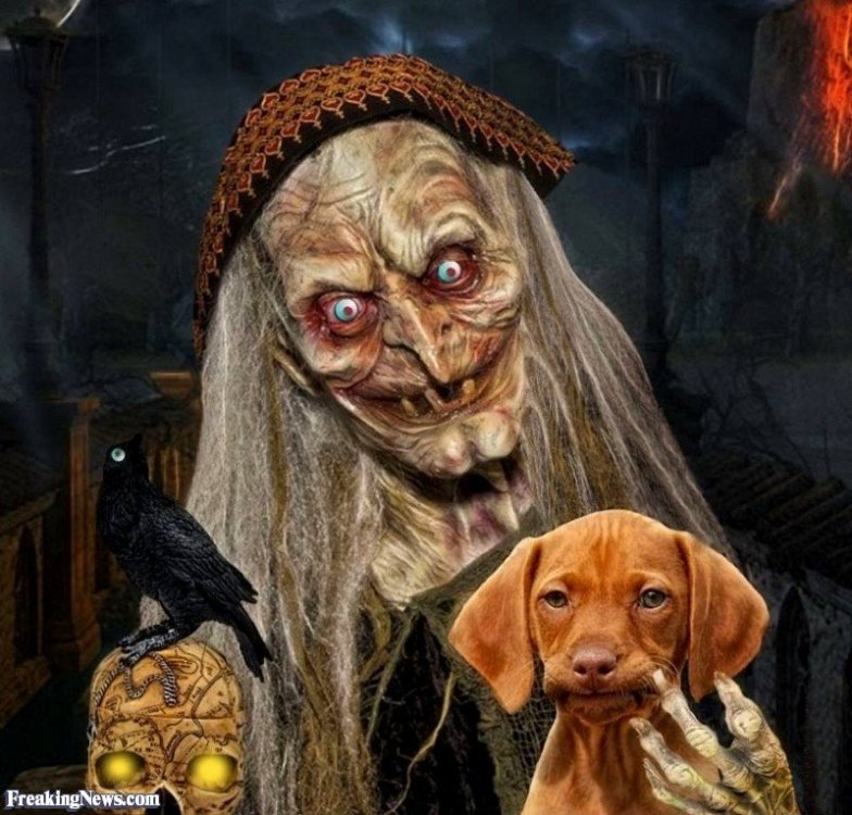 Masha and her two pets Dasha and Sasha.jpg