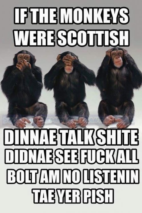 25b93ddae5376b7ac819de7fb7f597de--scottish-memes-pins.jpg