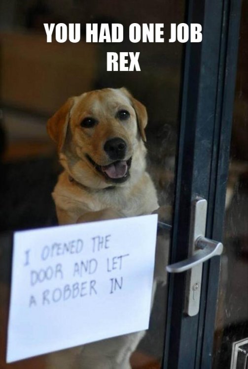 dog-shaming-you-had-one-job.jpg