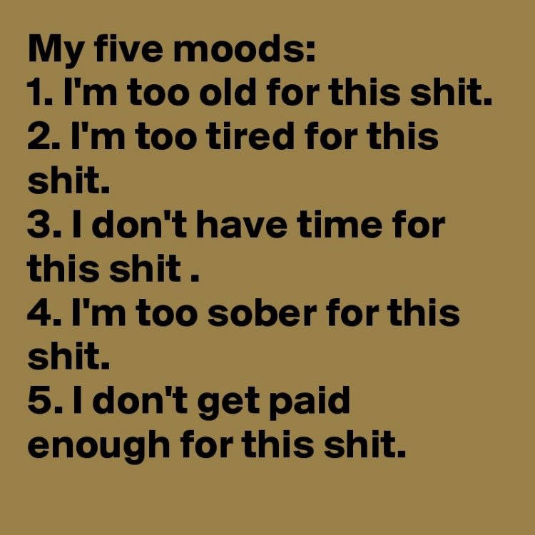 My-five-moods-1-I-m-too-old-for-this-shit-2-I-m-to.jpg