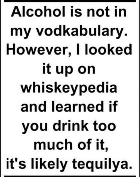 cd6f091b95926608bf9f29f9b302d2a9--alcohol-humor-funny-alcohol-quotes.jpg