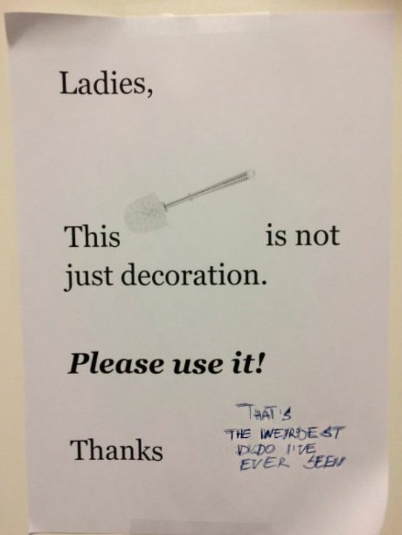 funny-sign-note-ladies-not-decoration-toilet-brush-dildo.jpg