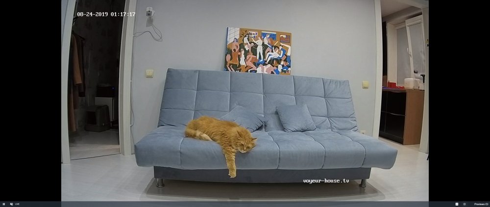 bandicam 2019-08-23 23-17-41-684.jpg