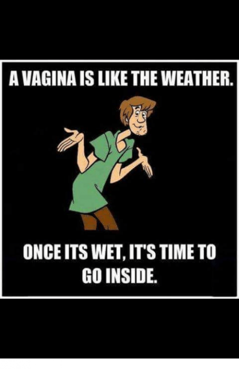 a-vagina-is-like-the-weather.png