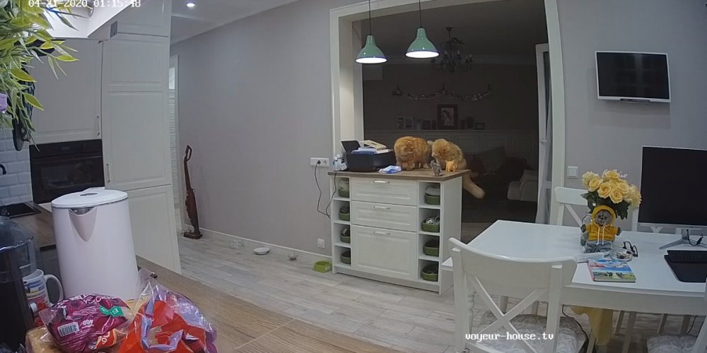 bandicam 2020-04-20 18-18-22-206.jpg