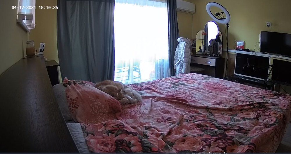 bandicam 2021-04-17 11-10-38-456.jpg