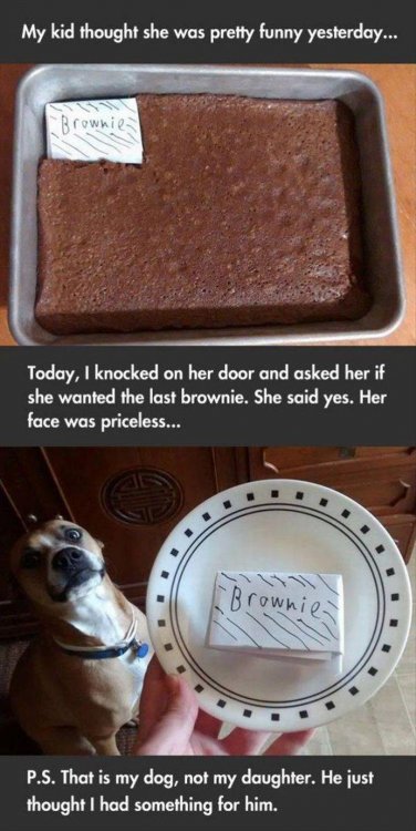 z-brownie-funny.jpg