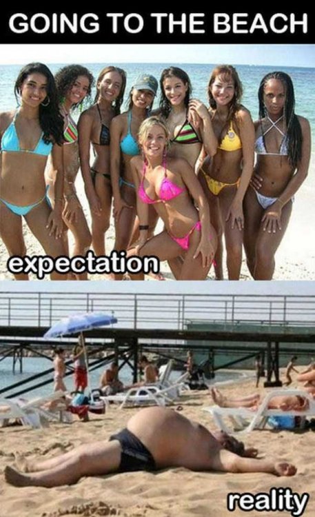 expectations-reality-2 (1).jpg