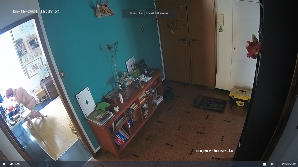 Screenshot (10236).png