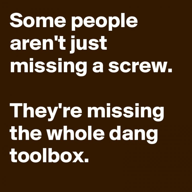 Some-people-aren-t-just-missing-a-screw-They-re-mi.jpeg