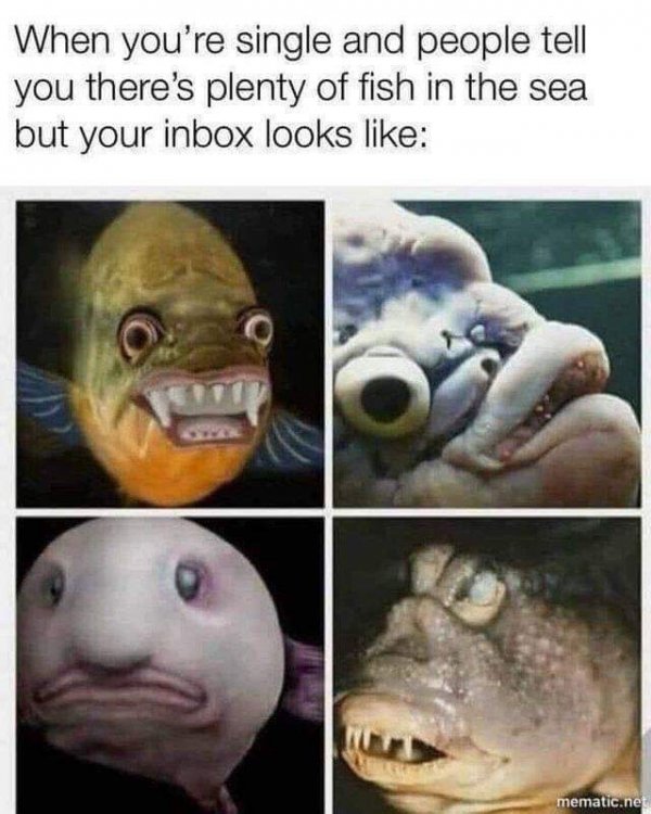 theres-plenty-of-fish-in-the-sea-but-your-inbox-looks-like-above-pics-of-very-strange-looking-fish.jpeg