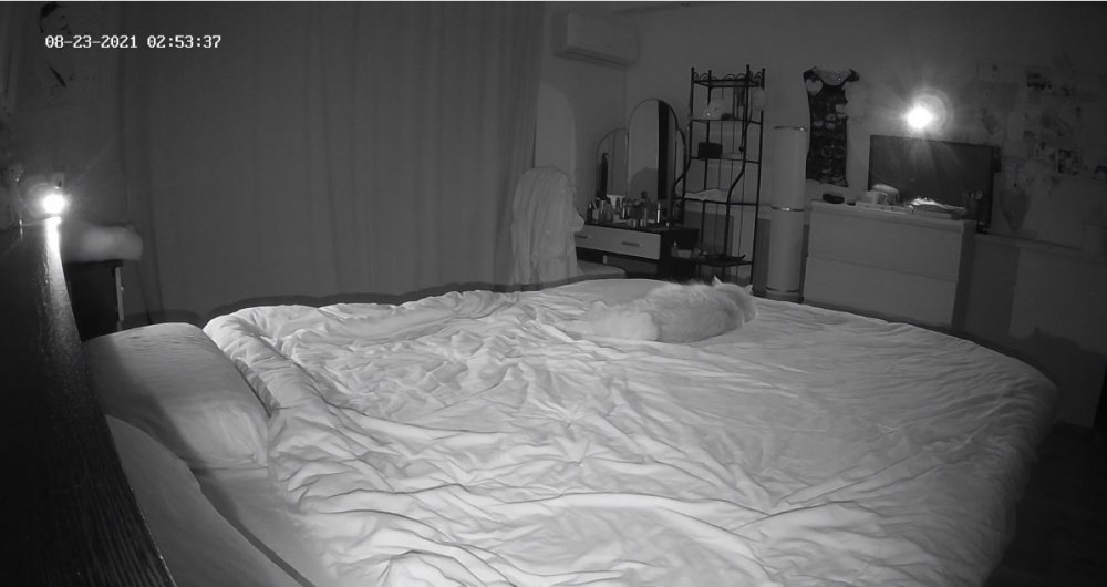 bandicam 2021-08-22 19-52-16-522.jpg