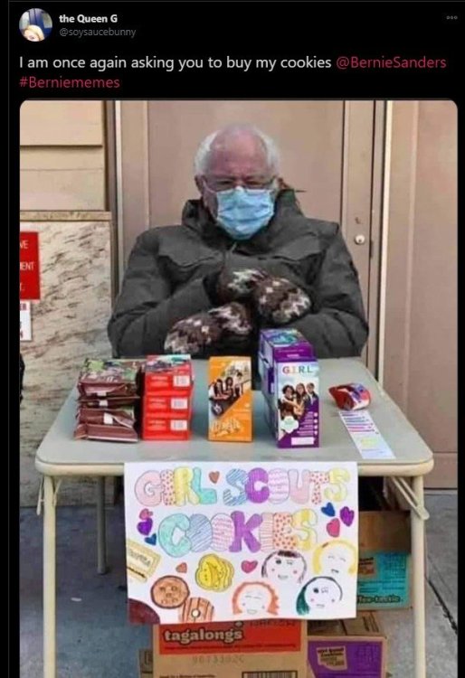 bernie-sanders-girl-scout-cookies-meme.jpg