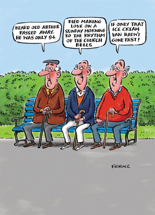 lrgscaleLFSA0011 p1.jpg