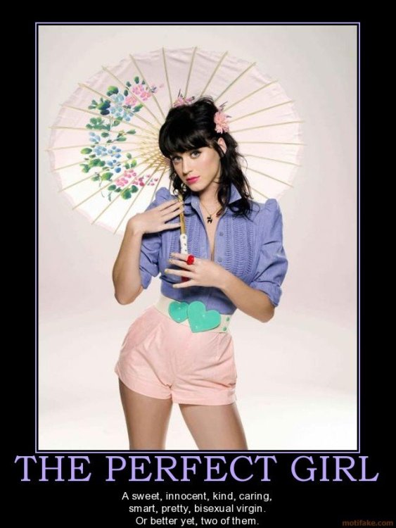 the-perfect-girl-demotivational-poster-1215717516.jpg