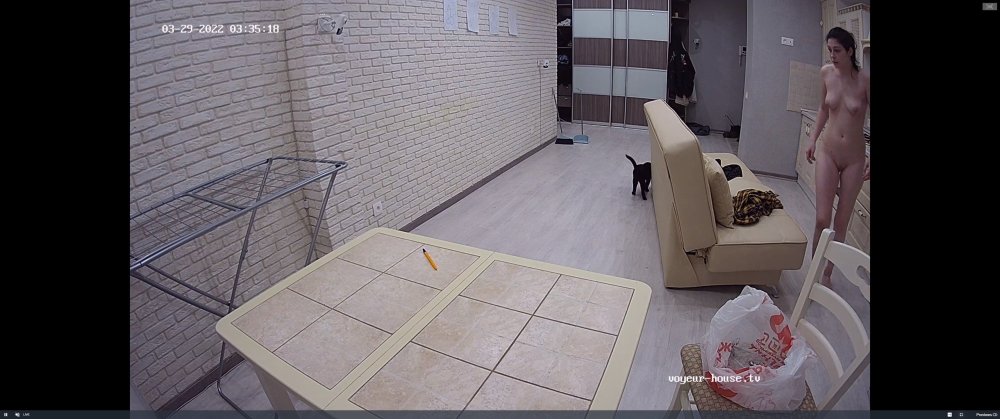 bandicam 2022-03-29 01-35-46-053.jpg