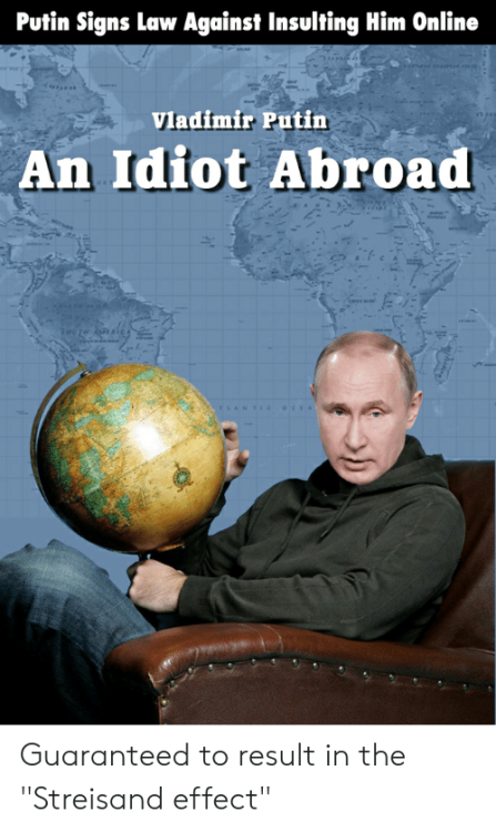 putin-signs-law-against-insulting-him-online-vladimir-putin-an-45378772.png