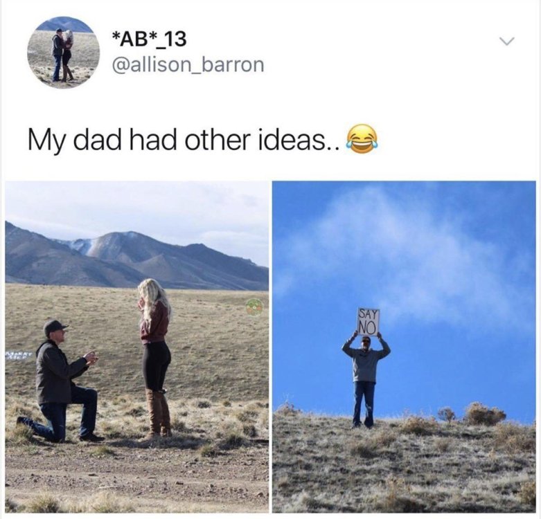 photos-of-a-proposal-and-the-womans-dad-standing-in-the-background-with-a-sign-that-reads-say-no.jpeg