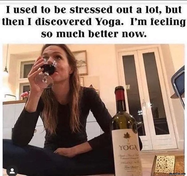 I-used-to-be-stressed-out-a-lot-but-then-I-discovered-the-yoga-meme-3378.png