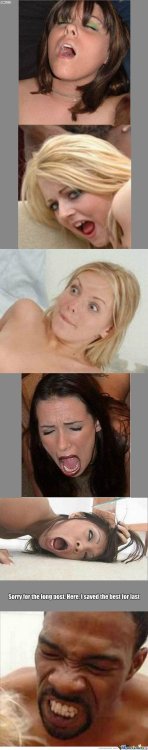 porn-star-faces_o_807035.jpg
