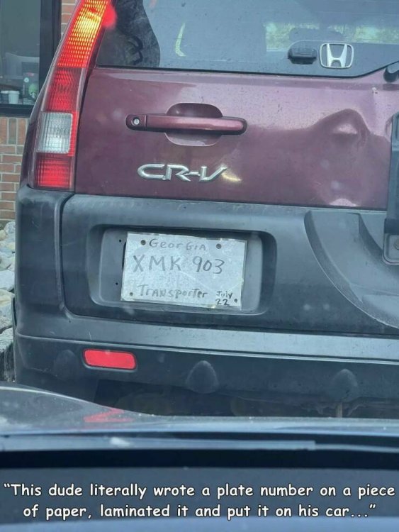 PICTURE FUNNY 2305.jpg