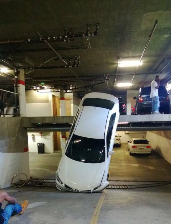 PICTURE FUNNY 2306.jpg