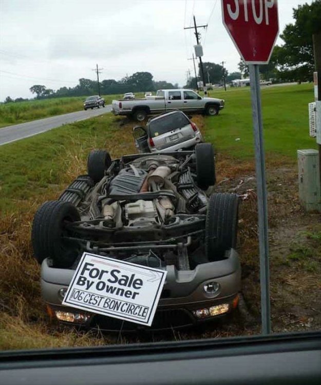 PICTURE FUNNY 09.jpg