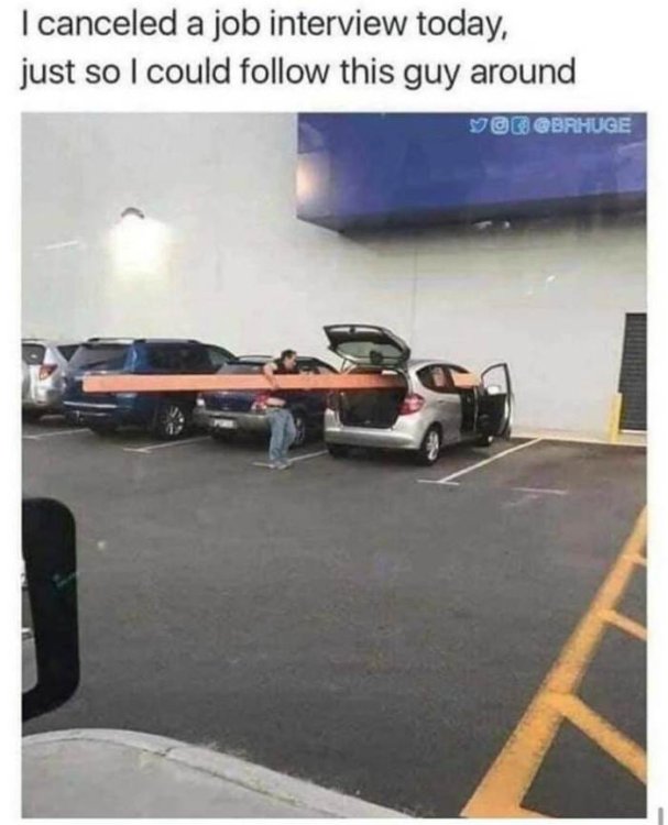 PICTURE FUNNY 2306.jpg