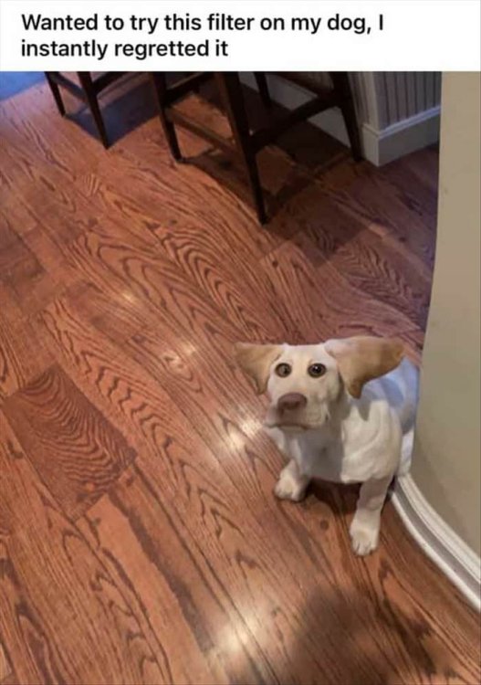 PICTURE FUNNY 2316.jpg