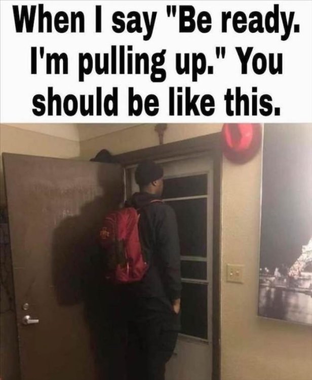 PICTURE FUNNY 2314.jpg