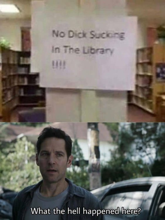 Sucking-Dick-Meme-on-Library.jpg