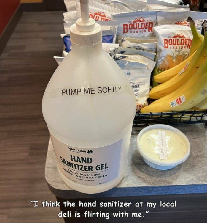 PICTURE FUNNY 2358.jpg