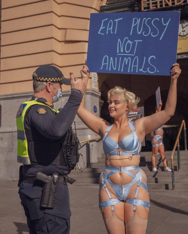 PICTURE FUNNY 2341.jpg