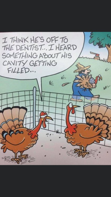 PICTURE FUNNY 2339.jpg