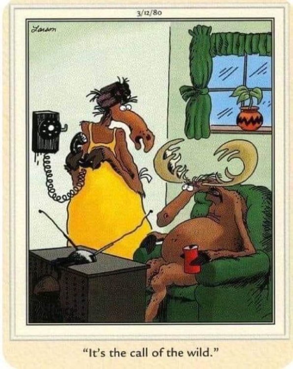 PICTURE FUNNY CARTOON 10.jpg