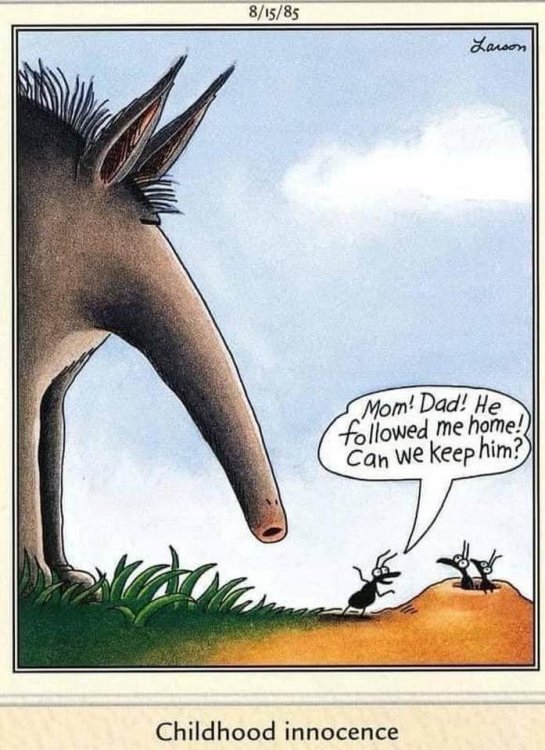 PICTURE FUNNY CARTOON 06.jpg