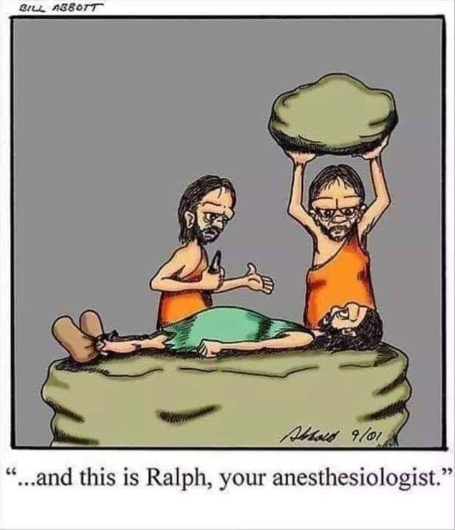 PICTURE FUNNY CARTOON 12.jpg