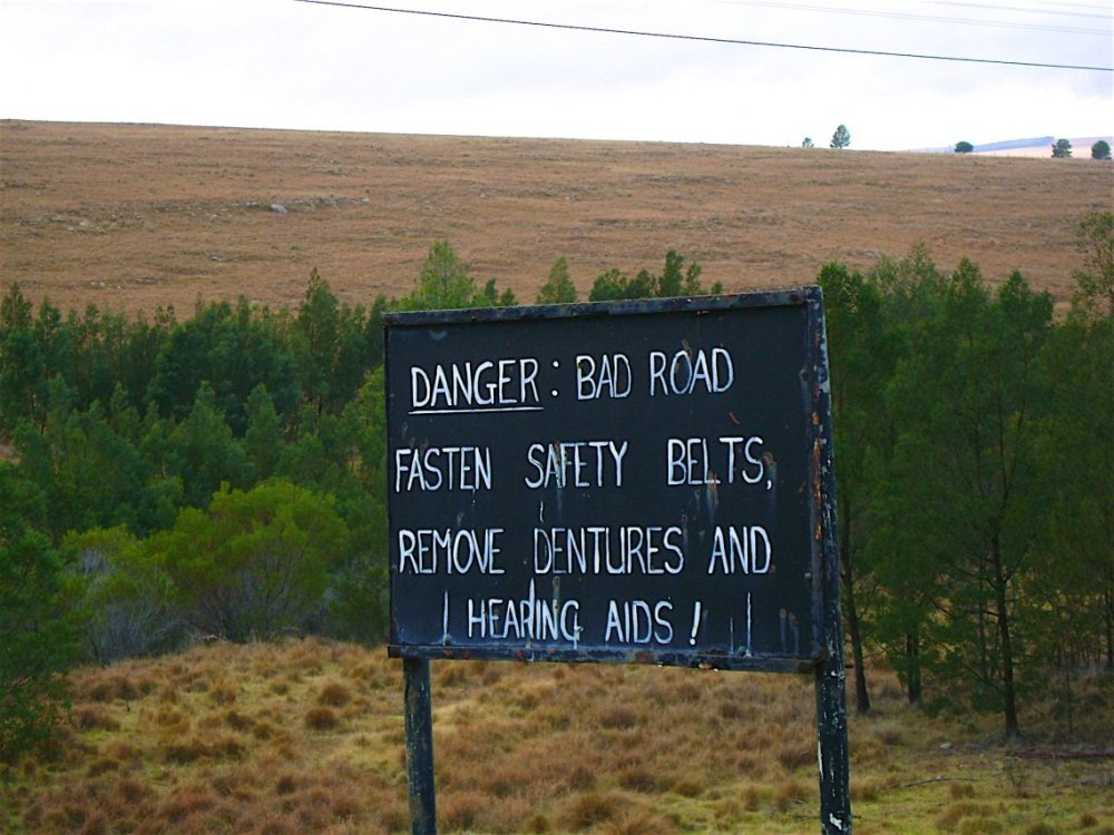 PICTURE FUNNY 2203.jpg