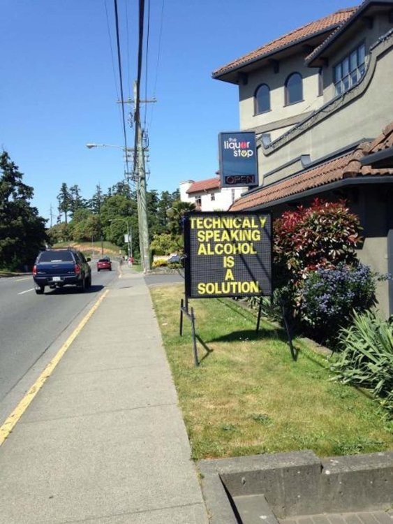 PICTURE FUNNY 2310.jpg