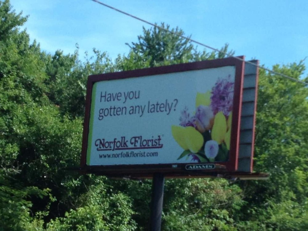 PICTURE FUNNY 2306.jpg